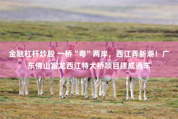 金融杠杆炒股 一桥“粤”两岸，西江弄新潮！广东佛山富龙西江特大桥项目建成通车