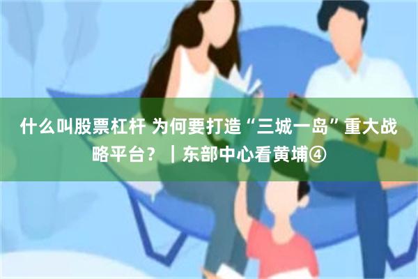 什么叫股票杠杆 为何要打造“三城一岛”重大战略平台？｜东部中心看黄埔④
