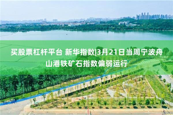 买股票杠杆平台 新华指数|3月21日当周宁波舟山港铁矿石指数偏弱运行