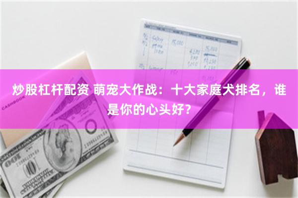 炒股杠杆配资 萌宠大作战：十大家庭犬排名，谁是你的心头好？