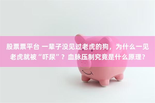 股票票平台 一辈子没见过老虎的狗，为什么一见老虎就被“吓尿”？血脉压制究竟是什么原理？