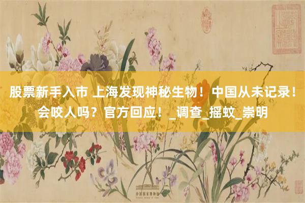 股票新手入市 上海发现神秘生物！中国从未记录！会咬人吗？官方回应！_调查_摇蚊_崇明