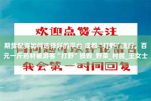 期货配资如何选择好的平台 成都“打野”流行，百元一斤药材被游客“打野”损毁_野菜_村民_王女士