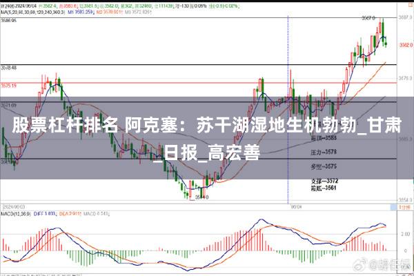 股票杠杆排名 阿克塞：苏干湖湿地生机勃勃_甘肃_日报_高宏善