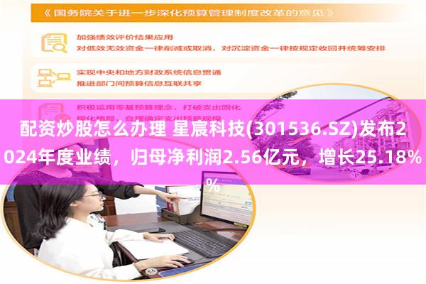 配资炒股怎么办理 星宸科技(301536.SZ)发布2024年度业绩，归母净利润2.56亿元，增长25.18%