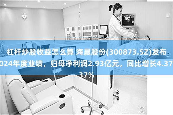 杠杆炒股收益怎么算 海晨股份(300873.SZ)发布2024年度业绩，归母净利润2.93亿元，同比增长4.37%