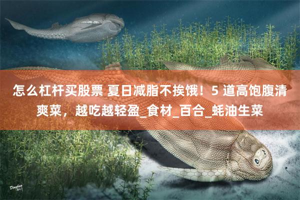 怎么杠杆买股票 夏日减脂不挨饿！5 道高饱腹清爽菜，越吃越轻盈_食材_百合_蚝油生菜