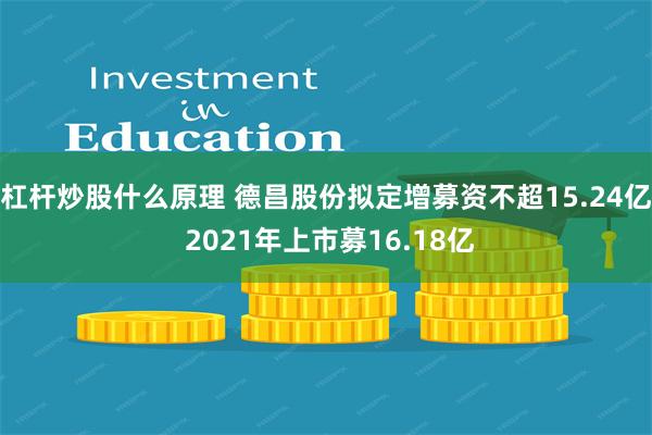 杠杆炒股什么原理 德昌股份拟定增募资不超15.24亿 2021年上市募16.18亿