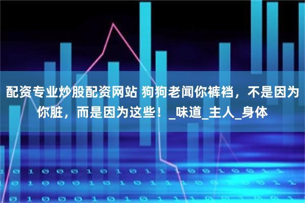 配资专业炒股配资网站 狗狗老闻你裤裆,不是因为你脏,而是因为这些!_味道_主人_身体