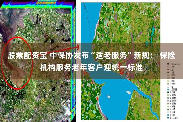股票配资宝 中保协发布“适老服务”新规： 保险机构服务老年客户迎统一标准