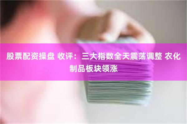 股票配资操盘 收评：三大指数全天震荡调整 农化制品板块领涨
