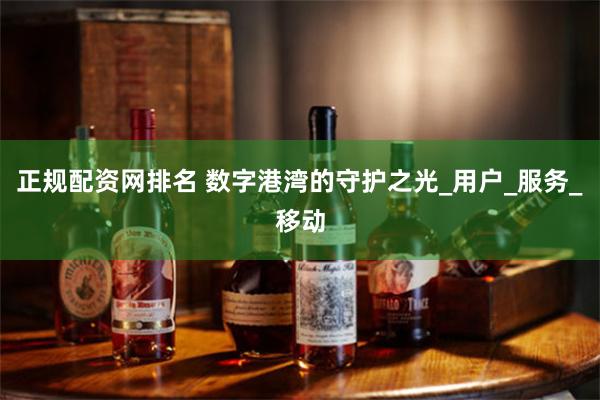 正规配资网排名 数字港湾的守护之光_用户_服务_移动