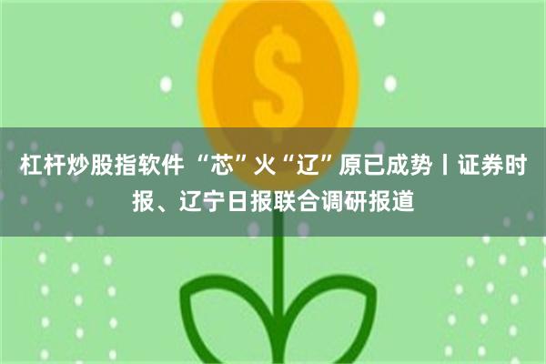 杠杆炒股指软件 “芯”火“辽”原已成势丨证券时报、辽宁日报联合调研报道