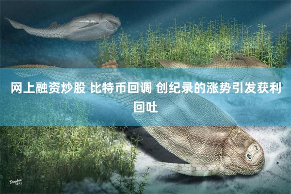 网上融资炒股 比特币回调 创纪录的涨势引发获利回吐