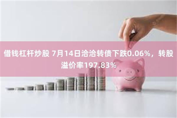 借钱杠杆炒股 7月14日洽洽转债下跌0.06%，转股溢价率197.83%