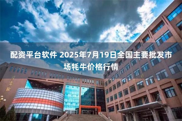 配资平台软件 2025年7月19日全国主要批发市场牦牛价格行情