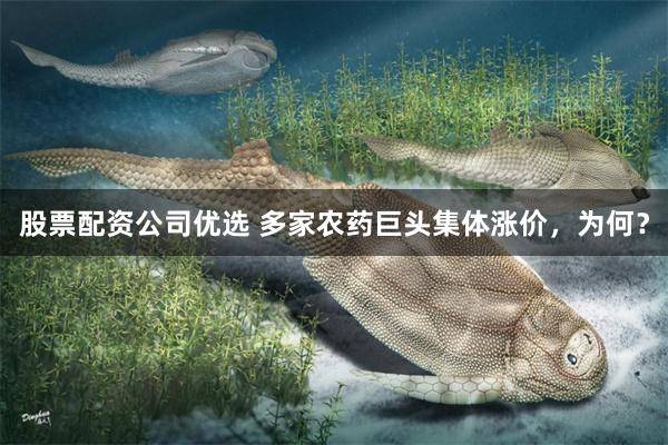 股票配资公司优选 多家农药巨头集体涨价，为何？