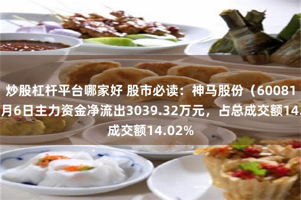 炒股杠杆平台哪家好 股市必读：神马股份（600810）8月6日主力资金净流出3039.32万元，占总成交额14.02%
