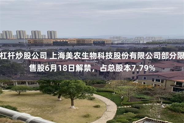 杠杆炒股公司 上海美农生物科技股份有限公司部分限售股6月18日解禁，占总股本7.79%
