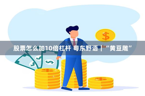 股票怎么加10倍杠杆 粤东野语｜“黄豆雕”