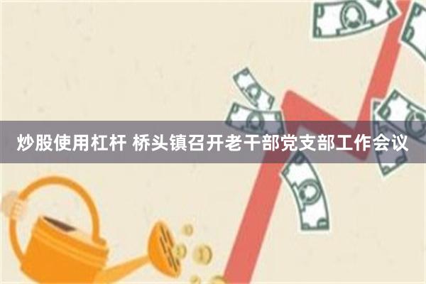 炒股使用杠杆 桥头镇召开老干部党支部工作会议