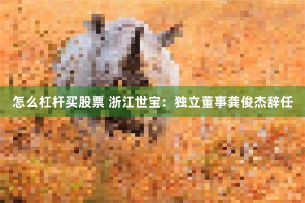 怎么杠杆买股票 浙江世宝：独立董事龚俊杰辞任