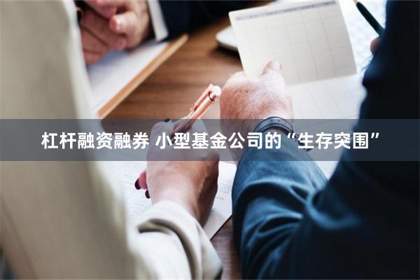 杠杆融资融券 小型基金公司的“生存突围”