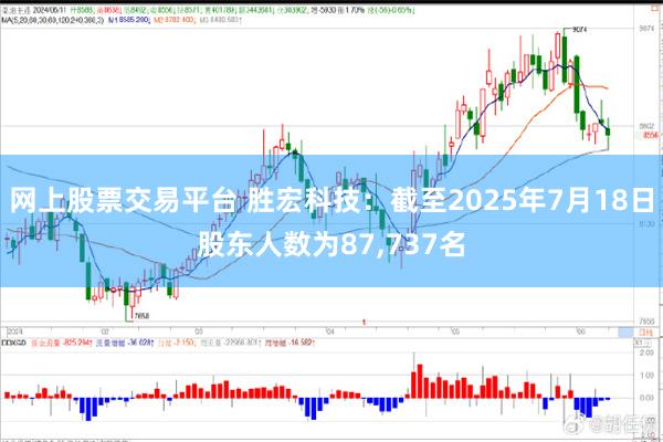 网上股票交易平台 胜宏科技:截至2025年7月18日股东人数为87,737名