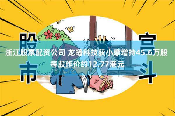 浙江股票配资公司 龙蟠科技获小摩增持45.6万股 每股作价约12.77港元
