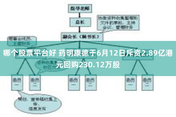 哪个股票平台好 药明康德于6月12日斥资2.89亿港元回购230.12万股