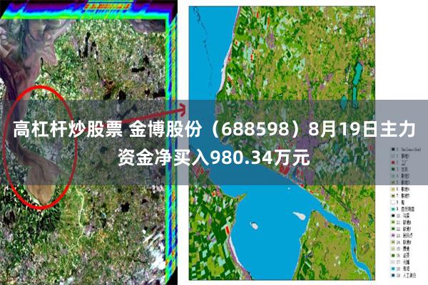 高杠杆炒股票 金博股份（688598）8月19日主力资金净买入980.34万元