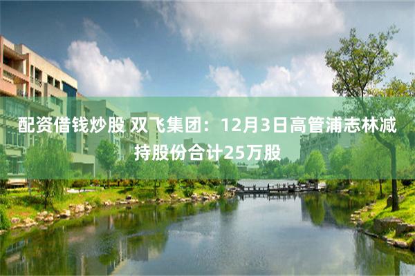 配资借钱炒股 双飞集团：12月3日高管浦志林减持股份合计25万股