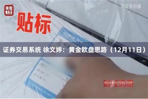 证券交易系统 徐文婷：黄金欧盘思路（12月11日）