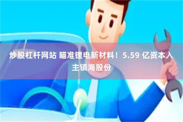 炒股杠杆网站 瞄准锂电新材料！5.59 亿资本入主镇海股份