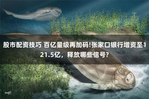 股市配资技巧 百亿量级再加码!张家口银行增资至121.5亿，释放哪些信号?