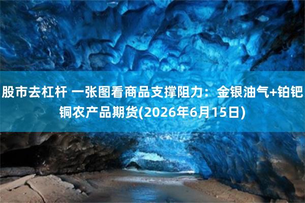 股市去杠杆 一张图看商品支撑阻力：金银油气+铂钯铜农产品期货(2026年6月15日)