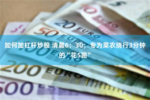 如何加杠杆炒股 清晨6：30，专为菜农绕行3分钟的“花5路”
