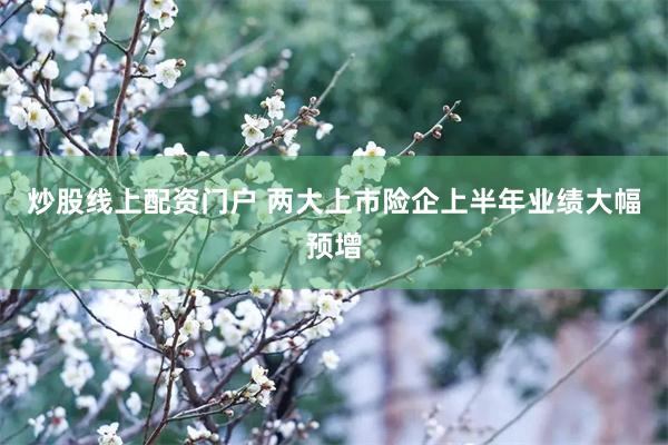 炒股线上配资门户 两大上市险企上半年业绩大幅预增
