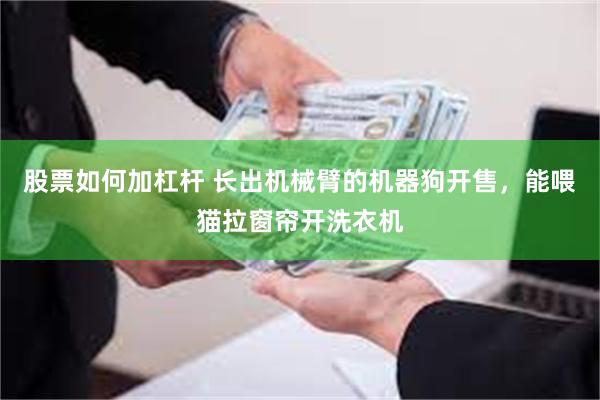 股票如何加杠杆 长出机械臂的机器狗开售,能喂猫拉窗帘开洗衣机