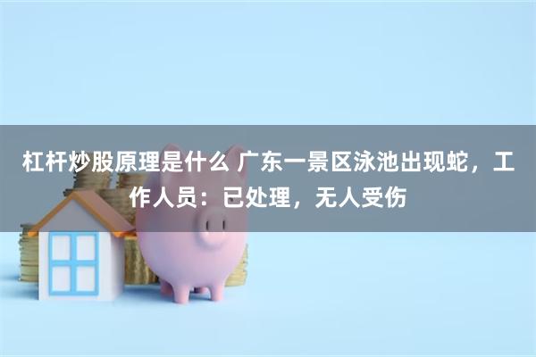 杠杆炒股原理是什么 广东一景区泳池出现蛇，工作人员：已处理，无人受伤