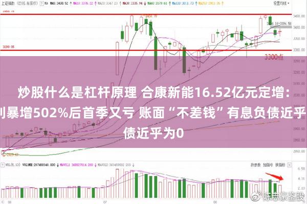 炒股什么是杠杆原理 合康新能16.52亿元定增：盈利暴增502%后首季又亏 账面“不差钱”有息负债近乎为0