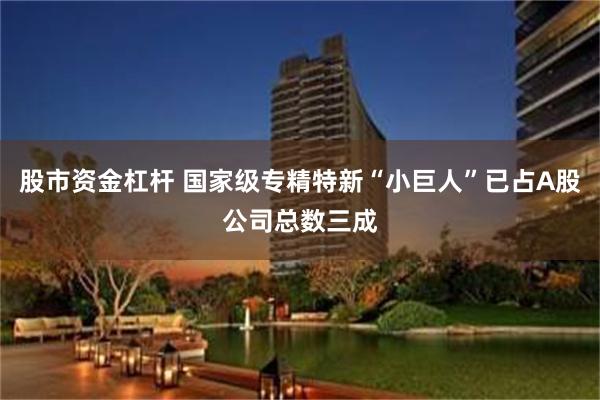股市资金杠杆 国家级专精特新“小巨人”已占A股公司总数三成
