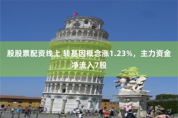 股股票配资线上 转基因概念涨1.23%，主力资金净流入7股