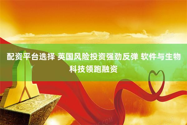 配资平台选择 英国风险投资强劲反弹 软件与生物科技领跑融资