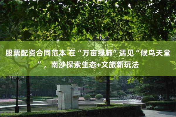 股票配资合同范本 在“万亩绿肺”遇见“候鸟天堂”，南沙探索生态+文旅新玩法