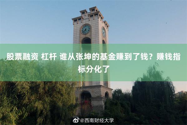 股票融资 杠杆 谁从张坤的基金赚到了钱？赚钱指标分化了