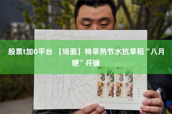 股票t加0平台 【场面】特早熟节水抗旱稻“八月粳”开镰