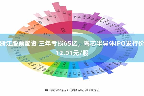 浙江股票配资 三年亏损65亿，粤芯半导体IPO发行价12.01元/股