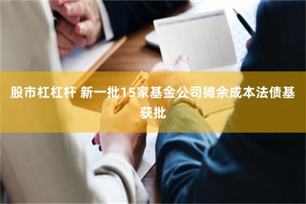 股市杠杠杆 新一批15家基金公司摊余成本法债基获批