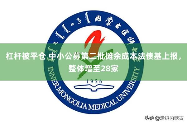 杠杆被平仓 中小公募第二批摊余成本法债基上报，整体增至28家